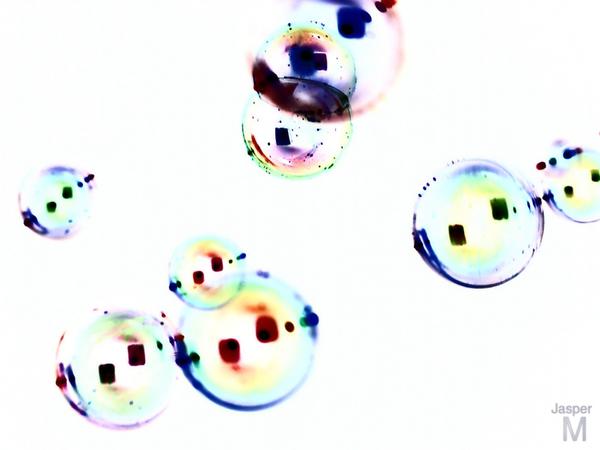 Ambivalent bubbles #4 // 30 x 20 cm // photo // 2013 // 7590 views