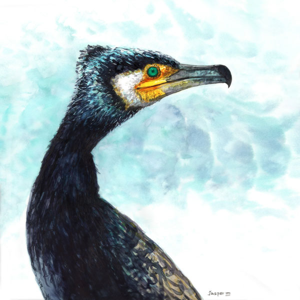 Cormorant gets it // 20 x 30 cm // water color // 2021 // 2006 views
