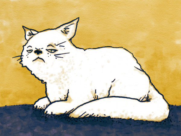 Clueless cat // 16 x 12 cm // pen and markers plus digital color // 2022 // 616 views