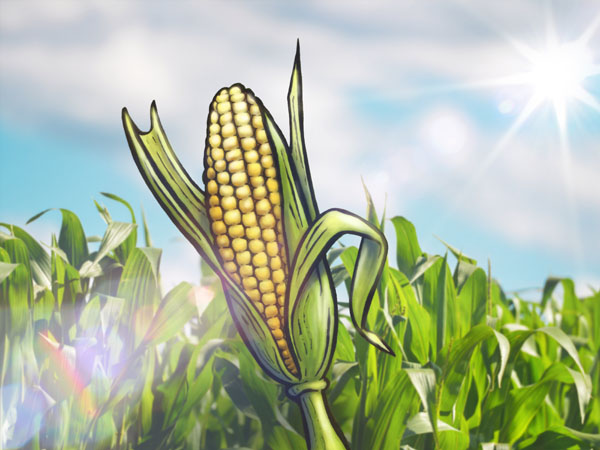 Corn // 4:3 // digital composition // 2016 // 5976 views