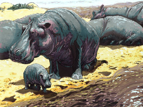 Hippo hippo hippo // 27 x 19 cm // gouache on paper // 2021 // 5390 views