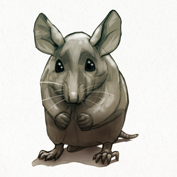 Ratty mouse // 1:1 // sketch // 2019 // 4960 views