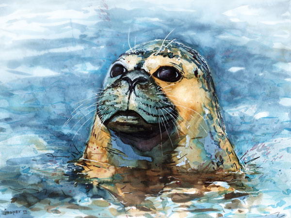 Staring seal // 30 x 20 cm // watercolor // 2022 // 1084 views