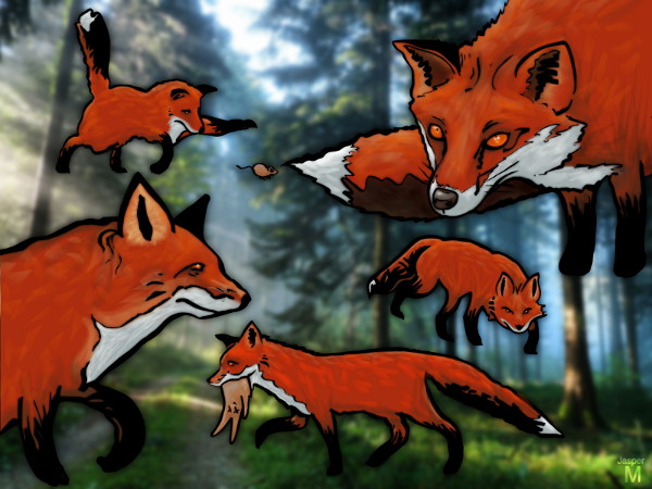 Foxes // - // digital composition // 2015 // 7520 views