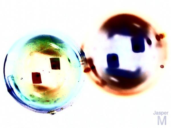 Ambivalent bubbles #5 // 30 x 15 cm // photo // 2013 // 8138 views