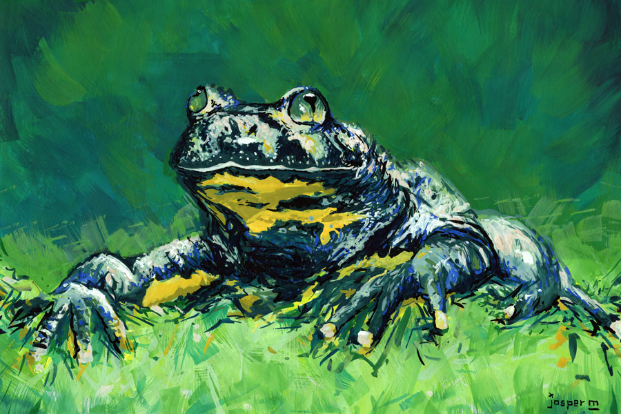 Touchy toad // 30 x 20 cm // gouache on paper // 2023 // 6 views