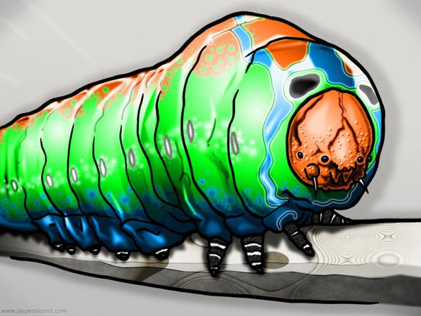 Caterpillar at second sight // 50 x 30 cm // digital composition // 2011 // 11302 views