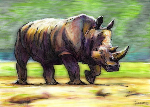 Rhino in a rush // 30 x 20 cm // oily pastel and marker on paper // 2024 // 2687 views