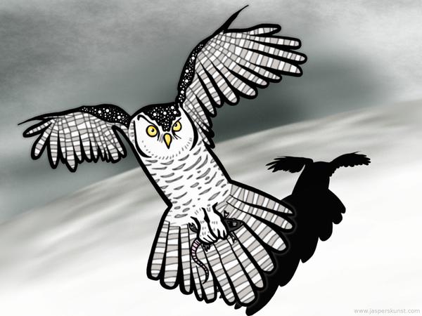 Snow owl with snack // 50 x 30 cm // digital composition // 2011 // 9799 views